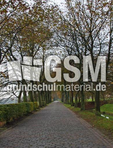 Herbststimmung-23-10-09 041.jpg